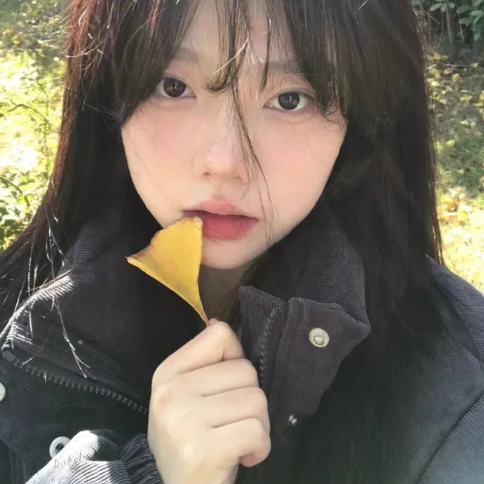 花园蜘蛛